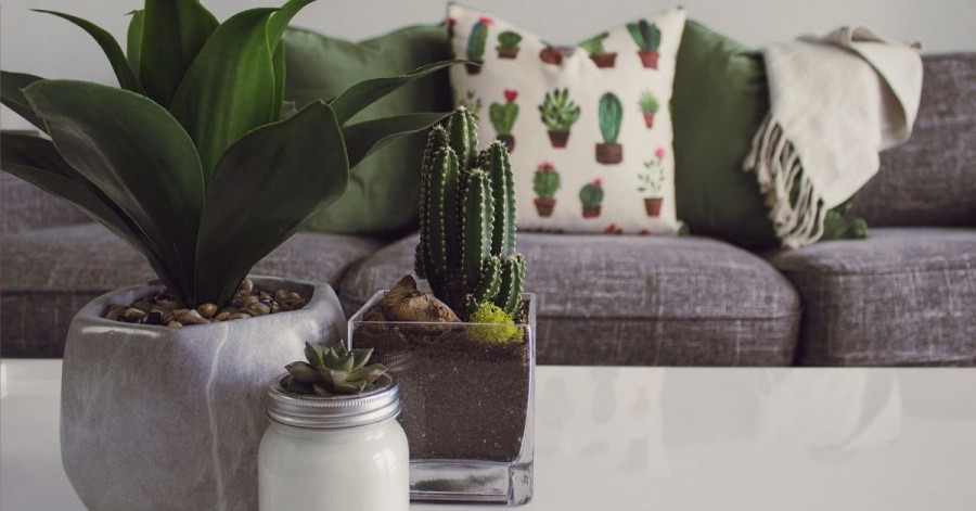 green decorating ideas