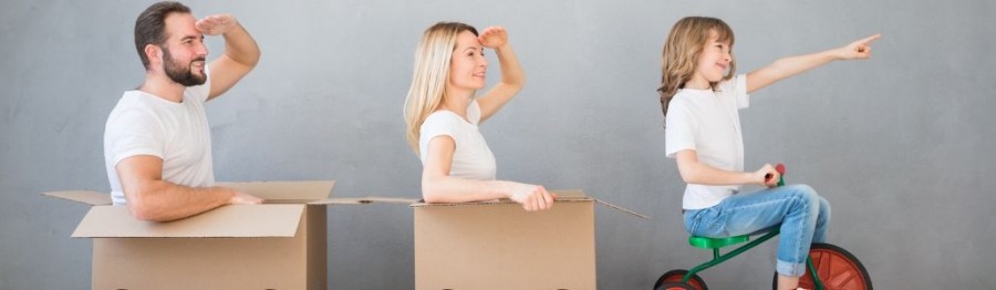 Sydney Removalist