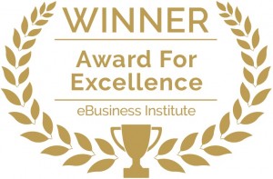 eBusiness Institute Student Award For Excellence