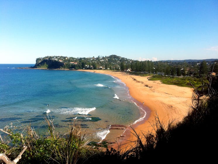 Northern Beaches Sydney